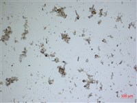 登錄號:A00004617藏品圖，第2張