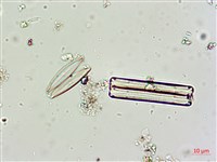 登錄號:A00004617藏品圖，第9張