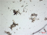登錄號:A00004618藏品圖，第2張