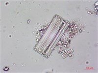 登錄號:A00004618藏品圖，第3張