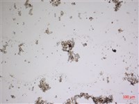 登錄號:A00004619藏品圖，第2張