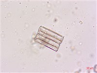 登錄號:A00004619藏品圖，第4張