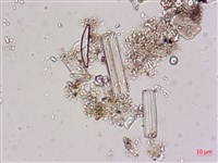 登錄號:A00004619藏品圖，第8張