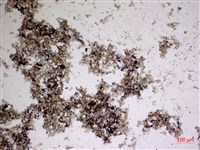 登錄號:A00004620藏品圖，第2張