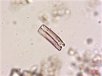 登錄號:A00004620藏品圖，第5張