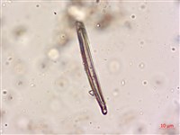 登錄號:A00004620藏品圖，第6張