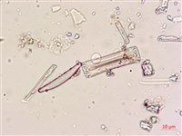 登錄號:A00004620藏品圖，第7張