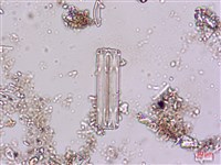 登錄號:A00004621藏品圖，第3張