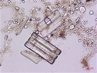 登錄號:A00004621藏品圖，第8張
