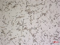 登錄號:A00004622藏品圖，第2張
