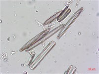 登錄號:A00004622藏品圖，第3張
