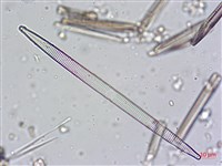 登錄號:A00004622藏品圖，第4張