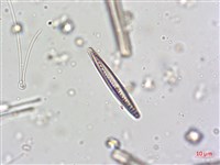 登錄號:A00004622藏品圖，第6張