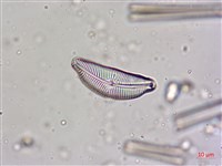 登錄號:A00004623藏品圖，第3張
