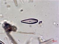 登錄號:A00004623藏品圖，第7張