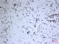 登錄號:A00004624藏品圖，第2張