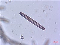 登錄號:A00004624藏品圖，第3張
