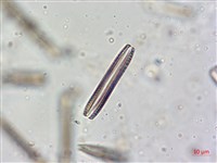 登錄號:A00004624藏品圖，第4張