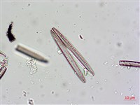 登錄號:A00004624藏品圖，第5張