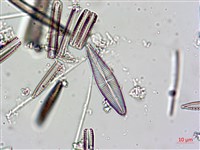 登錄號:A00004624藏品圖，第6張