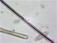登錄號:A00004624藏品圖，第8張