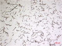 登錄號:A00004625藏品圖，第2張