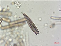 登錄號:A00004625藏品圖，第6張