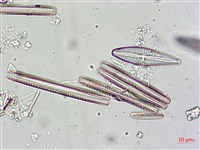 登錄號:A00004625藏品圖，第7張