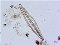 登錄號:A00004626藏品圖，第3張