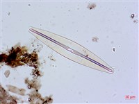 登錄號:A00004626藏品圖，第4張