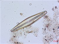登錄號:A00004626藏品圖，第5張