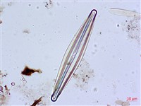 登錄號:A00004626藏品圖，第6張
