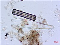 登錄號:A00004626藏品圖，第7張