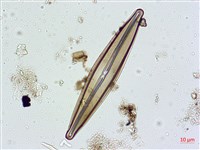 登錄號:A00004627藏品圖，第3張