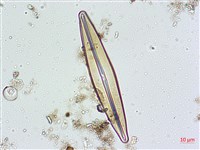 登錄號:A00004627藏品圖，第4張