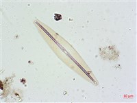 登錄號:A00004627藏品圖，第5張