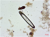 登錄號:A00004627藏品圖，第7張