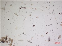 登錄號:A00004628藏品圖，第2張