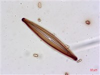 登錄號:A00004628藏品圖，第3張