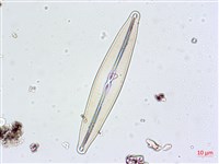 登錄號:A00004628藏品圖，第4張