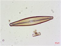 登錄號:A00004628藏品圖，第5張