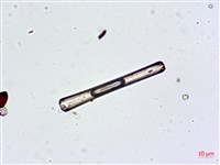 登錄號:A00004628藏品圖，第7張