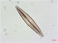 登錄號:A00004629藏品圖，第3張
