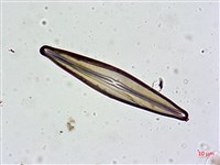 登錄號:A00004629藏品圖，第4張
