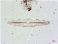 登錄號:A00004629藏品圖，第5張