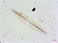 登錄號:A00004629藏品圖，第6張