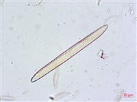 登錄號:A00004630藏品圖，第3張
