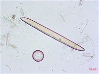 登錄號:A00004630藏品圖，第5張