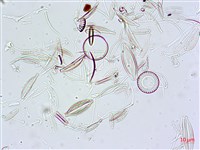登錄號:A00004630藏品圖，第7張