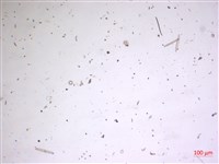 登錄號:A00004631藏品圖，第2張